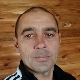 ����, �������, 45 ���