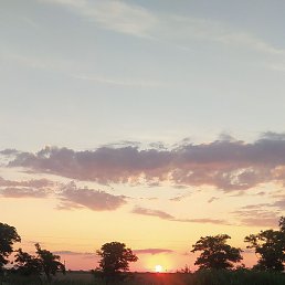 ����, ���������, 34 ����