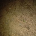 ���� Putri, ��������, 31 ��� - ��������� 30 �������� 2023 � ������ ���� ����������