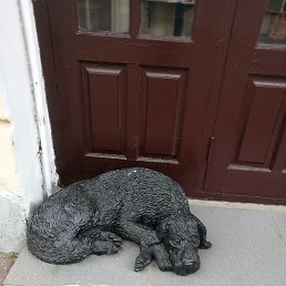 �����, �������, 21 ���