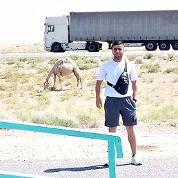 ���������, ������, 26 ���