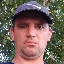 �������, ����, 43 ����