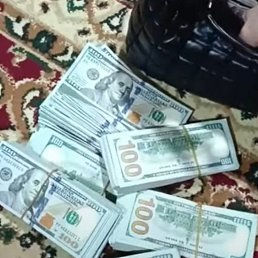 ���� �������, ������, 42 ���� - ��������� 20 ������� 2023