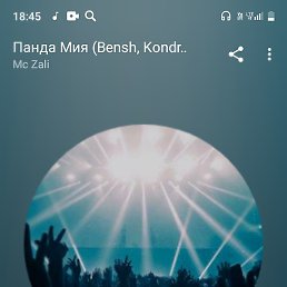 �������, �����-�������, 40 ���