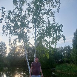 �����, ������, 49 ���