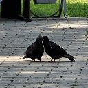 ���� ����, ��������, 41 ��� - ��������� 10 ���� 2023 � ������ ���� ����������