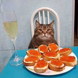 Rumut_yt, ������, 37 ���