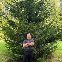 ���� ����, �������� - ��������� 2 �������� 2023