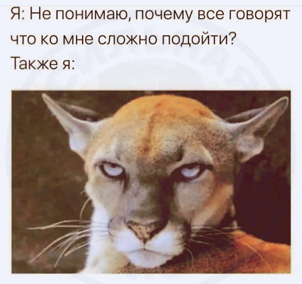 ***Victoria Viktorovna*** - 6  2023  08:42