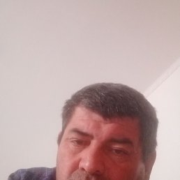 ������, ������, 46 ���