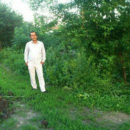 �������, ������, 50 ���