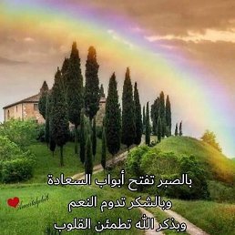 Hasan, �����������, 37 ���