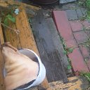 ���� �������, ������, 52 ���� - ��������� 7 ������� 2023 � ������ ���� ����������