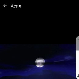 ��������, ������, 40 ���