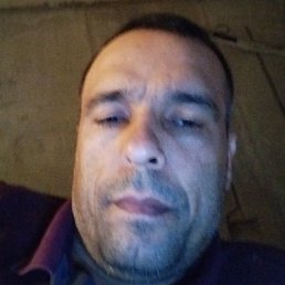 ������, ������, 41 ���