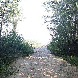 ����������, ������-����, 74 ����