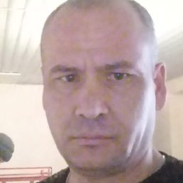 ����, ������, 37 ���