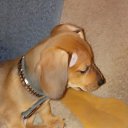 ���� ���������, ���������, 44 ���� - ��������� 14 ������� 2023 � ������ ���� ����������