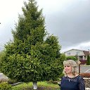 ���� �����, ������ ��������, 51 ��� - ��������� 21 ������� 2023 � ������ ���� ����������