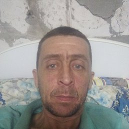 , 40, 