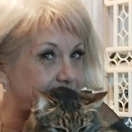 �����, �����������, 62 ����