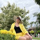 ���� ��������, ����������, 52 ���� - ��������� 12 ������� 2023 � ������ ���� ����������