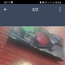  , , 37  -  23  2023    