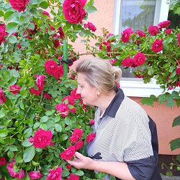 ���� ������, �����, 58 ��� - ��������� 14 ���� 2023