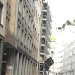 ����, ������, 37 ���