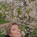 ���� ��������, ������, 52 ���� - ��������� 29 ������� 2023 � ������ ���� ����������