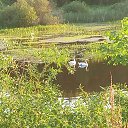 ���� ����, ������, 57 ��� - ��������� 5 ������� 2023 � ������ ���� ����������