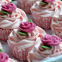 ���� �����, �������, 25 ��� - ��������� 12 �������� 2023