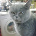 ���� Witalij, ������, 56 ��� - ��������� 6 ������� 2023