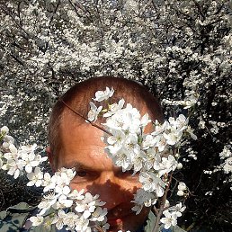 ����, ���������, 42 ����