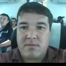 �����, ������, 39 ���