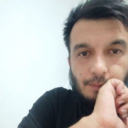 Bobur, �����, 31 ���