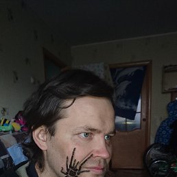 �������, ������, 47 ���