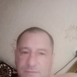 , 51 , 