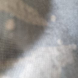 ������, �����������, 25 ���