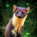 ���� �����, ������, 50 ��� - ��������� 19 ���� 2023 � ������ ���� ����������