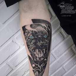 ����, ���������, 33 ����