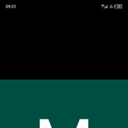 �����, �����, 31 ���