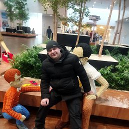 ������, �����, 46 ���