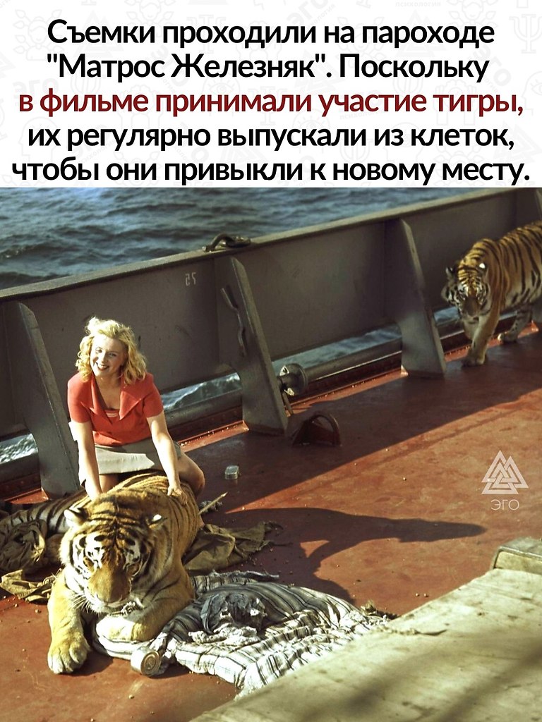           ,  ,    ... - 2