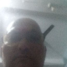 Hom, ��������, 65 ���