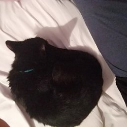 ���, ������������, 20 ���