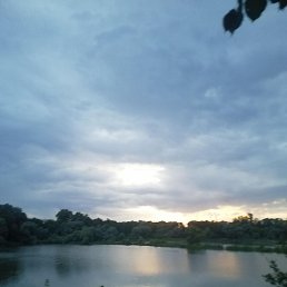 ������, ����������, 55 ���