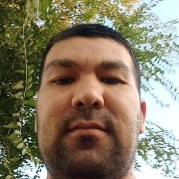 �����, �����������, 34 ����