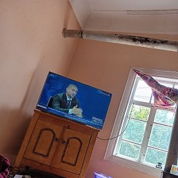 ���������, �����, 47 ���