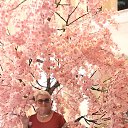 ���� �������, ��������� - ��������� 17 �������� 2023 � ������ ���� ����������